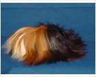 Satin Peruvian
